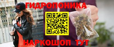 шишки Коммунар
