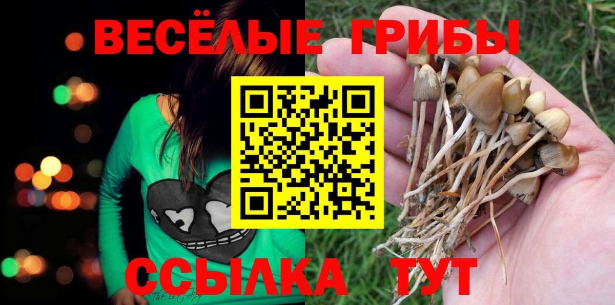 Галлюциногенные грибы GOLDEN TEACHER Кандалакша