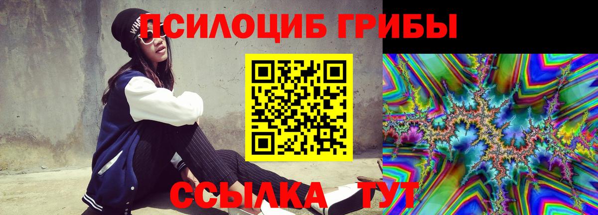 Кандалакша  Галлюциногенные грибы мухоморы  Вход с VPN  Псилоцибиновые грибы Psilocybe 